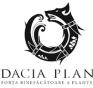 DACIA PLANT